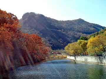 新澳天天开奖资料大全旅游团，景区一票通